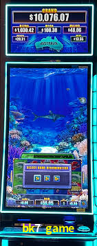 Programa VIP bk7 game